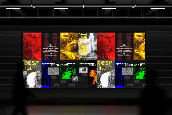 Symbiosis_Branding Posters
